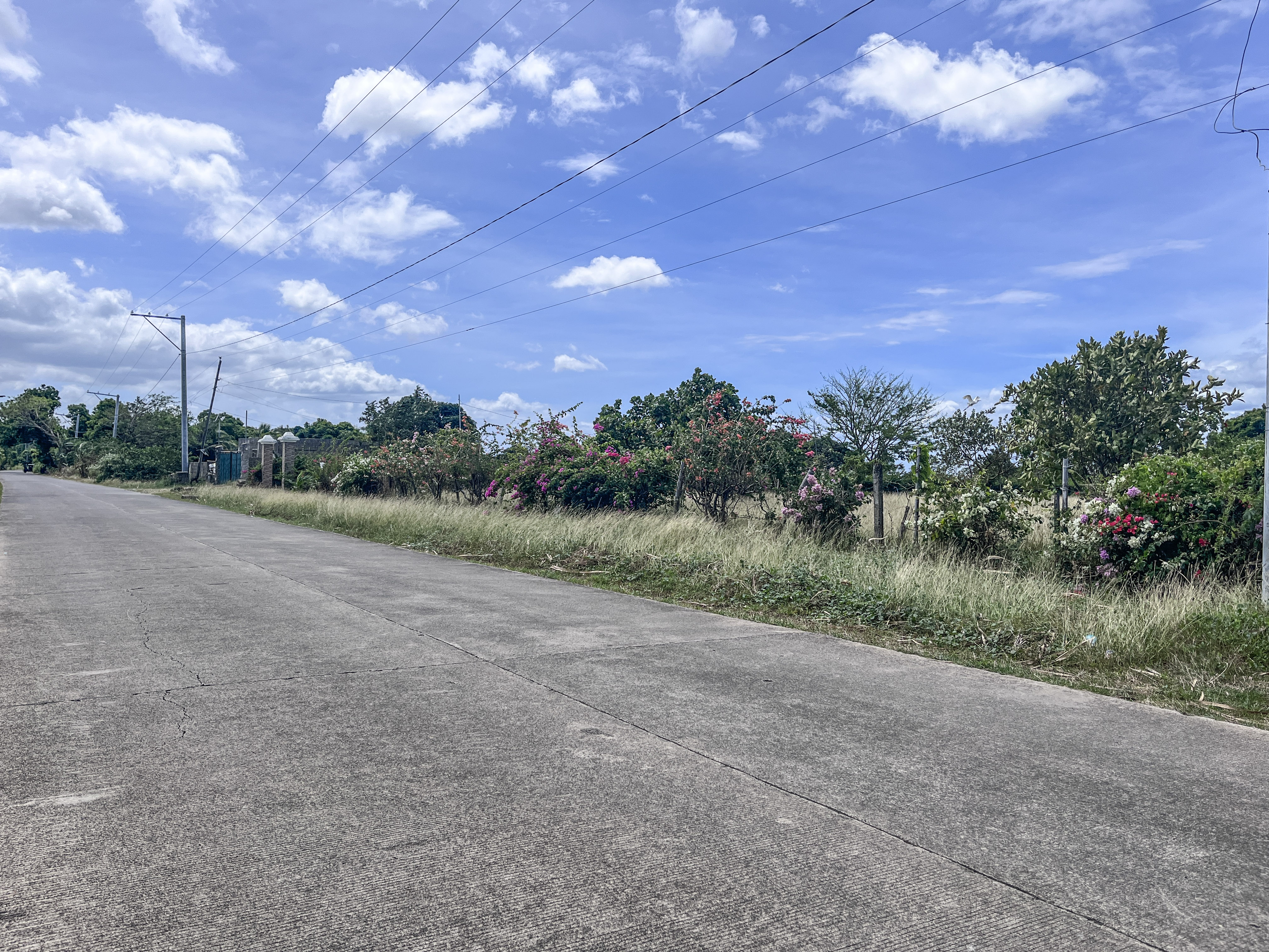 Farm Lot FOR SALE!!! Nasugbu, Batangas